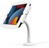 Compulocks Space Flex Enclosure Stand (iPad Pro 12,9)