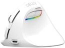 Delux M618 Mini Vertical Mouse