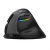 Delux M618Mini Vertical Mouse