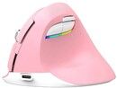 Delux M618Mini Vertical Mouse