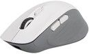 Delux M729DB Wireless Gaming Mouse