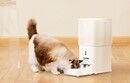 HHOLOVE Automatic Cat Feeder Wi-Fi Plus