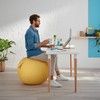 Leitz Cosy Ergo Sittboll