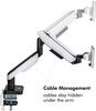 LogiLink Gaming Monitor Desk Mount 17-49\"