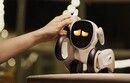 Loona PetBot Premium Interactive Robot
