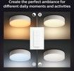 Philips Hue Enrave S Taklampa White Ambiance