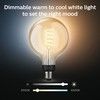 Philips Hue White Ambiance Filament G125 E2