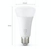 Philips Hue White E27 A67 HomeKit