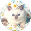 PopSockets PopTop - Flowers & Animals