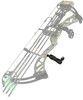 RAM Mount RAP-B-379-312437-GOP1