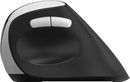 Rapoo EV250 Wireless Ergonomic Mouse