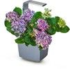 Tregren Kitchen Garden T3
