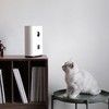 Xiaomi Pawbby Smart Pet Snack Machine