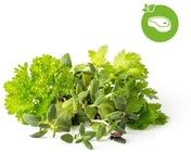 Click And Grow Smart Garden Refill 9-pack