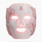 Fitpaddy FitMask LED Ansiktsmaske