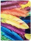 GreenGo Case Color Feather (iPad)