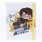 Harry Potter Universal Folio (10-11 ")