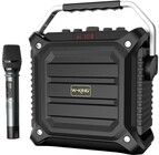 W-King K3H trdls Bluetooth-hyttaler 100W