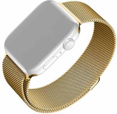 Fixed Mesh Strap (Watch 41/40/38 mm)