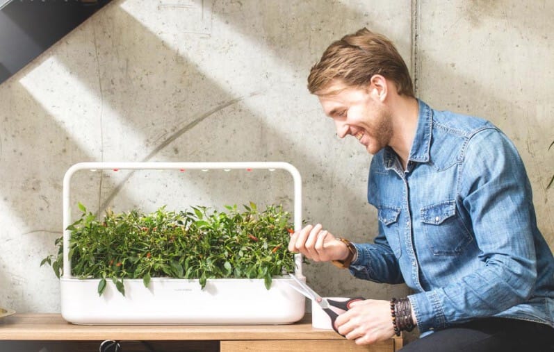 Click and Grow - innendørs dyrking med hydroponics