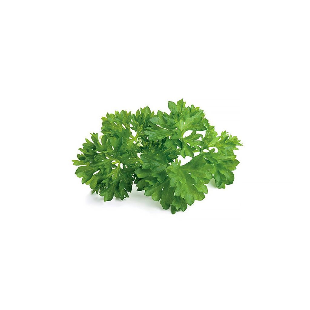 Click and Grow - Smart Garden Refill 3-pack - Parsley (SGR13X3)