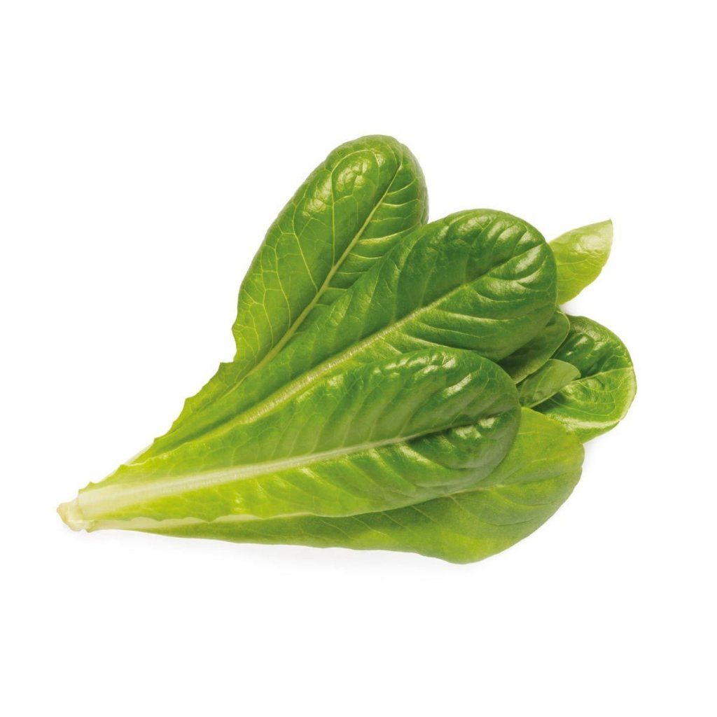 Click and Grow -  Smart Garden Refill 3-pack - Romaine Lettuce (SGR50X3)