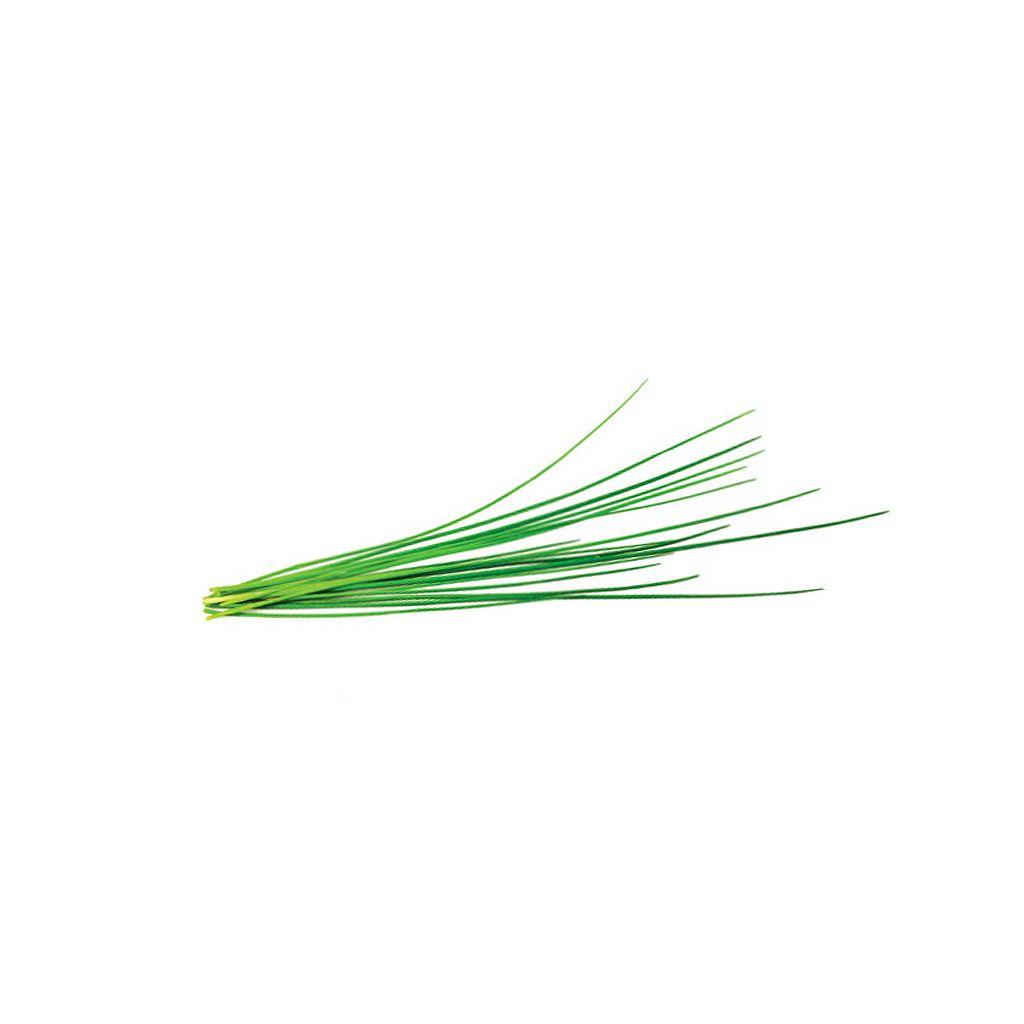 Click And Grow Smart Garden Refill 3-pack - Gräslök