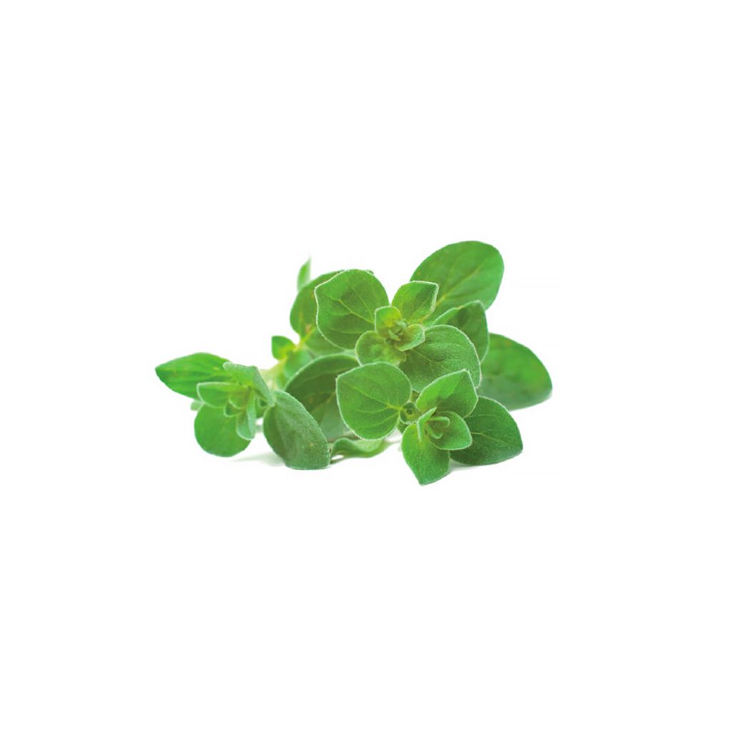 Click And Grow Smart Garden Refill 3-pack - Oregano