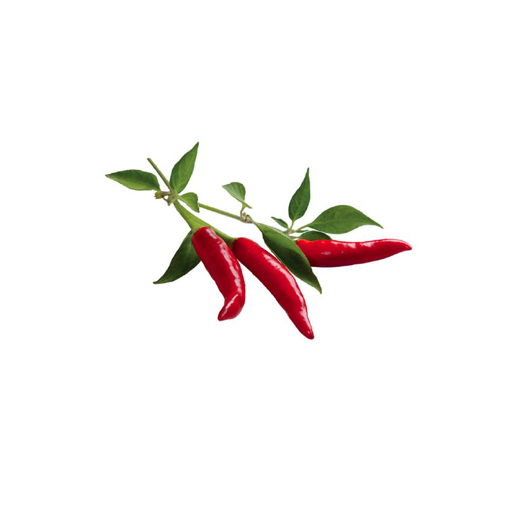 Click and Grow - Smart Garden Refill 3-pack - Chili Pepper (SGR6X3)