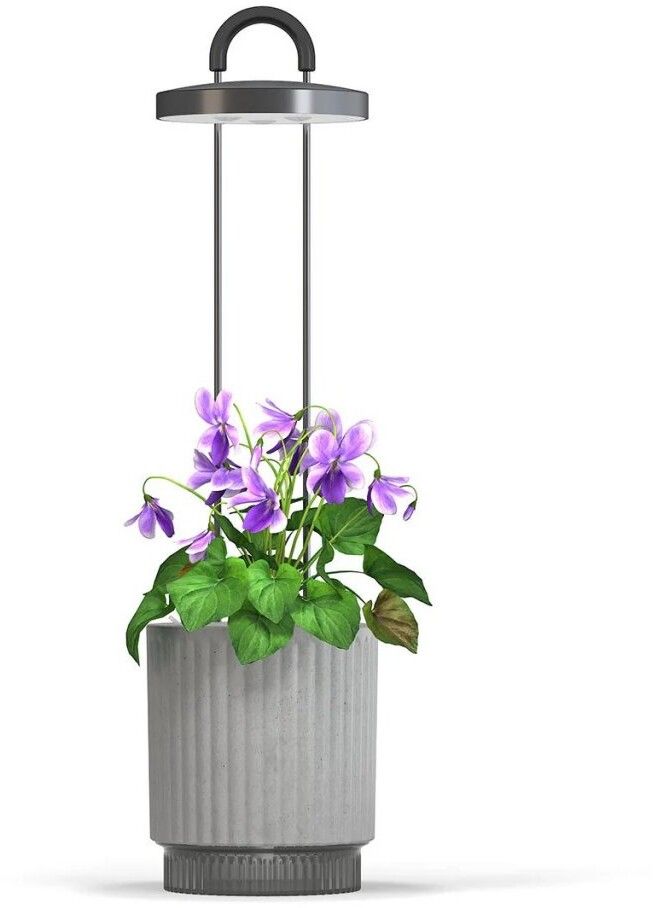 Click&Grow - HydroVase - Grå
