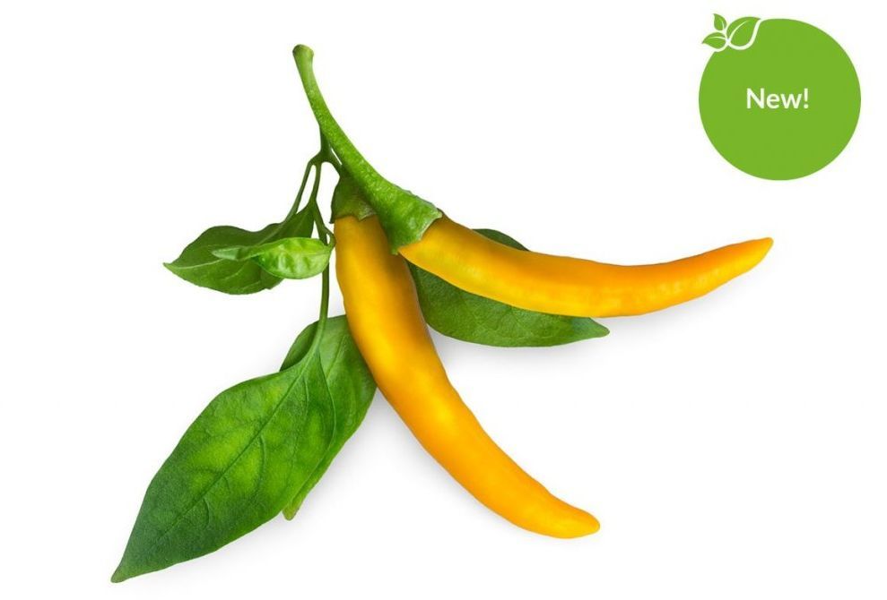 Click & Grow - Smart Garden Refill 3-pack Yellow Chili Pepper