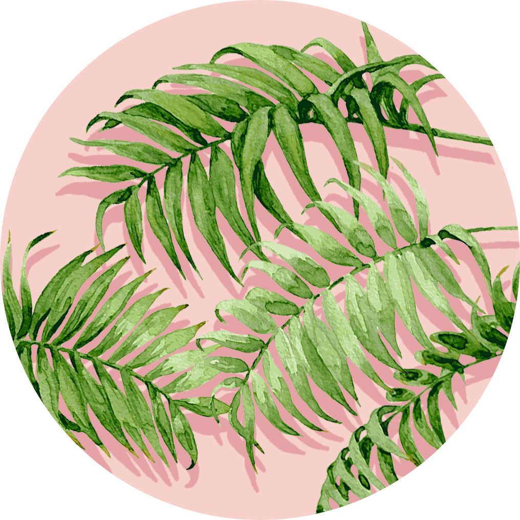PopSockets Palm Shadows