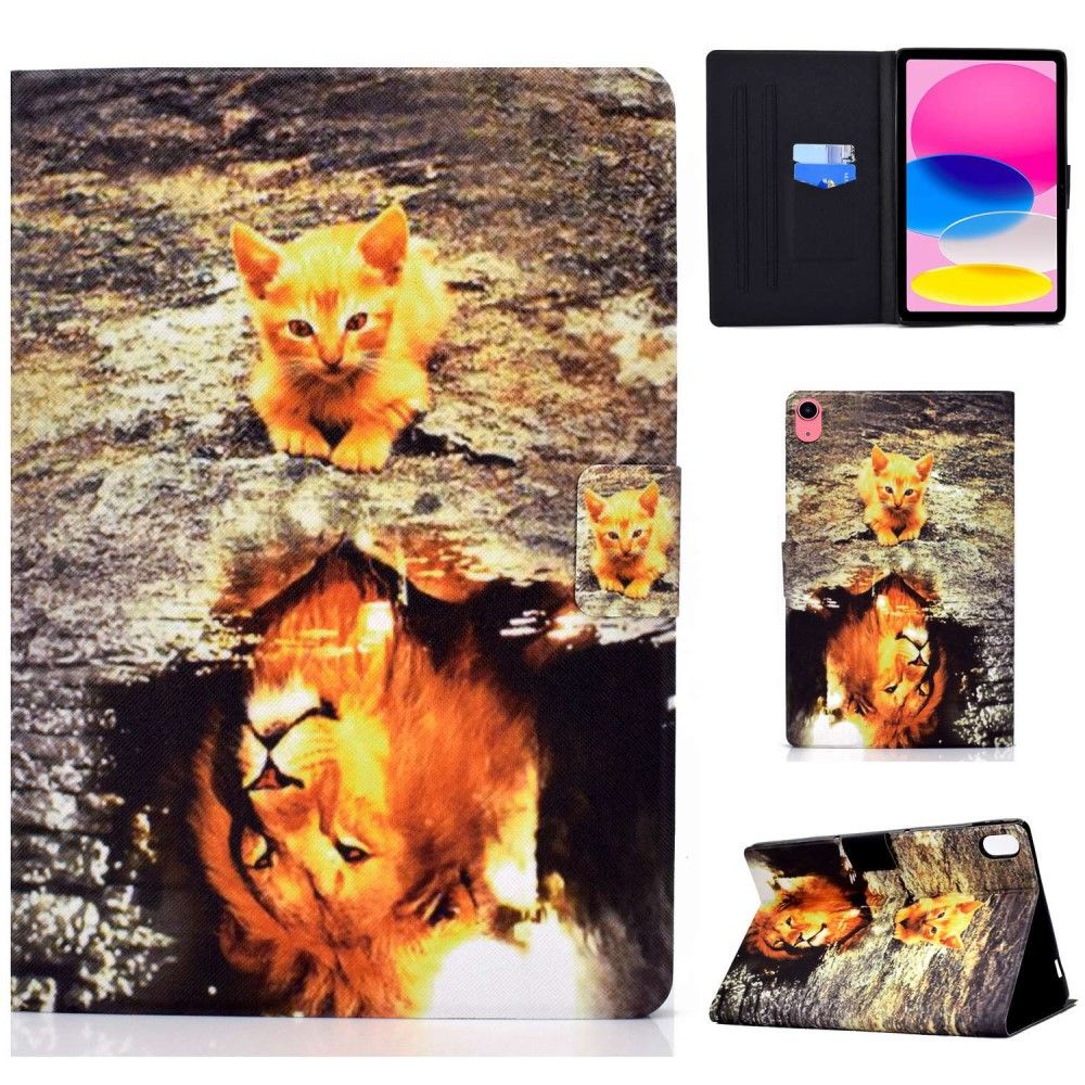 Trolsk Kitten to Lion Case