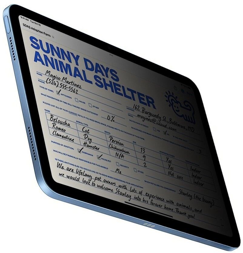 Trolsk Privacy Glass (iPad 11/iPad 10,9 (2022))