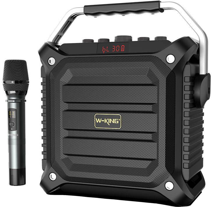 Trådløs Bluetooth-høyttaler W-KING K3H 100W (svart)